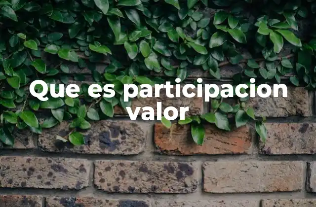 Que es Participacion Valor