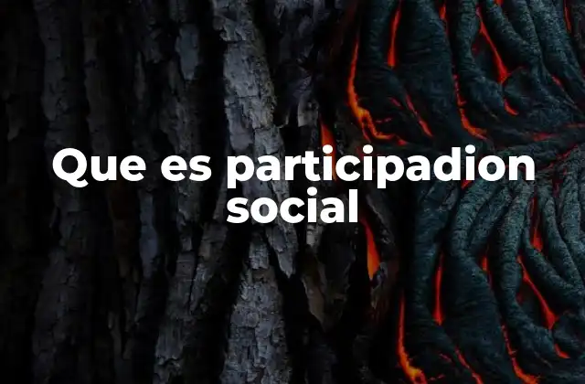 Que es Participadion Social