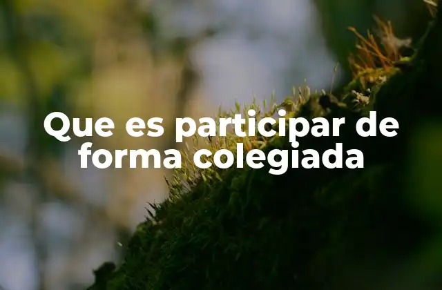 Que es Participar de Forma Colegiada