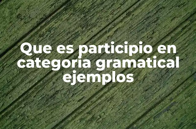 Que es Participio en Categoria Gramatical Ejemplos