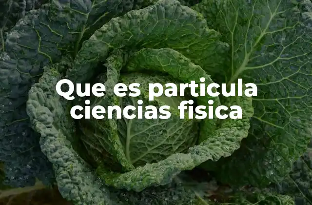 La esencia de la materia: desde lo macroscópico hasta lo subatómico