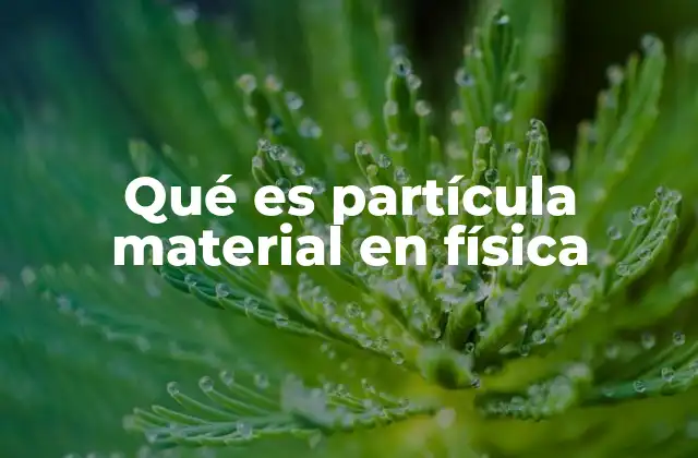 Qué es Partícula Material en Física