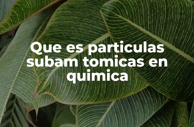 Que es Particulas Subam Tomicas en Quimica