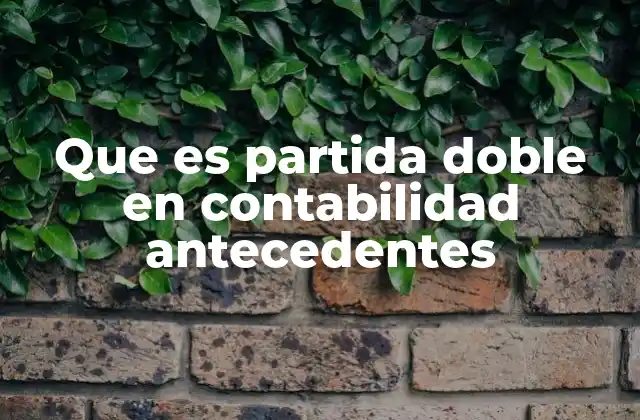 Que es Partida Doble en Contabilidad Antecedentes