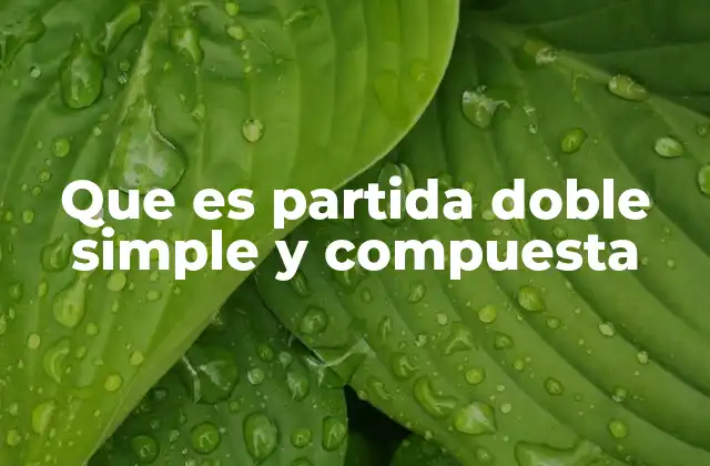 Que es Partida Doble Simple y Compuesta 2 El sistema contable basado en partidas y su importancia en la gestión empresarial