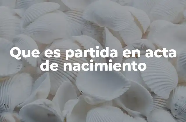 Que es Partida en Acta de Nacimiento