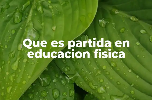 Que es Partida en Educacion Fisica