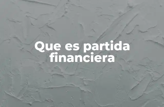 Que es Partida Financiera