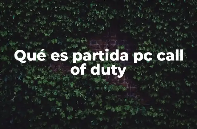 Qué es Partida Pc Call Of Duty