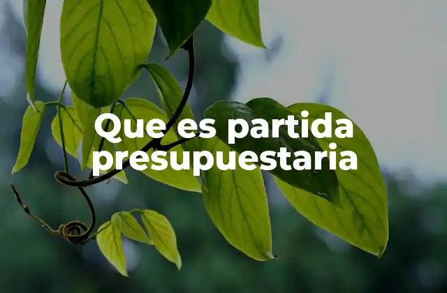 Que es Partida Presupuestaria 4 La organización de los recursos a través de partidas