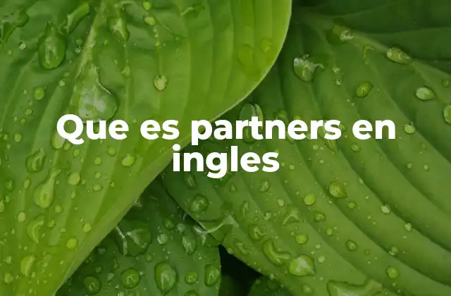 Que es Partners en Ingles 2 La importancia de la colaboración en contextos empresariales