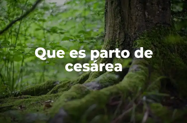 Que es Parto de Cesárea