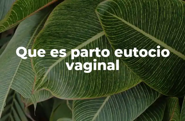 Características del parto eutócico vaginal