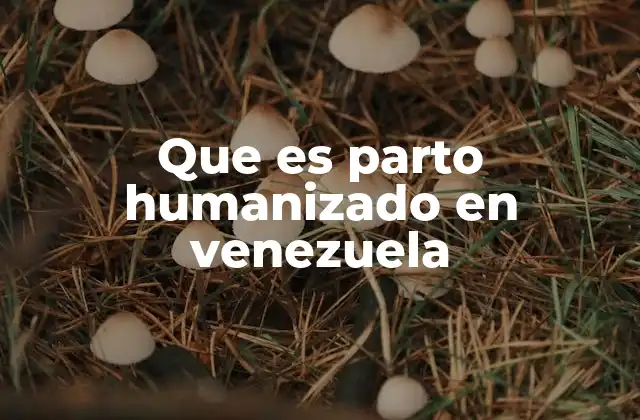 Que es Parto Humanizado en Venezuela