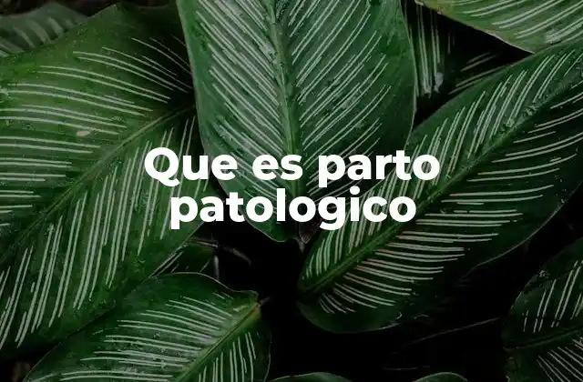 Que es Parto Patologico