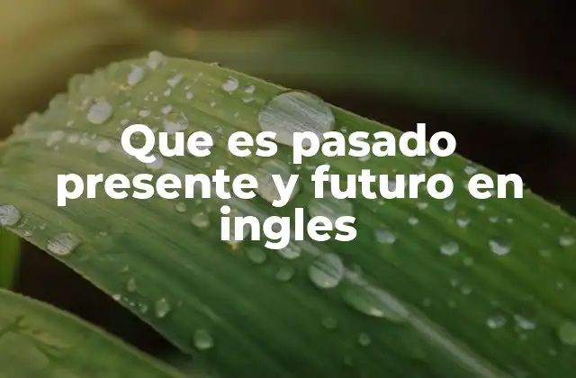 Que es Pasado Presente y Futuro en Ingles