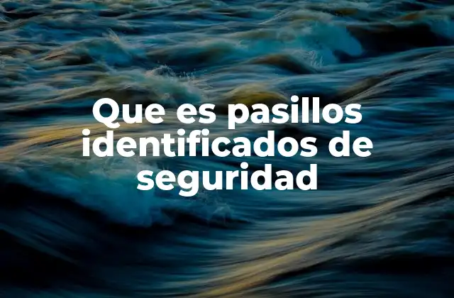 Que es Pasillos Identificados de Seguridad