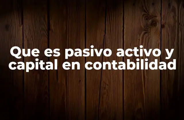 Que es Pasivo Activo y Capital en Contabilidad
