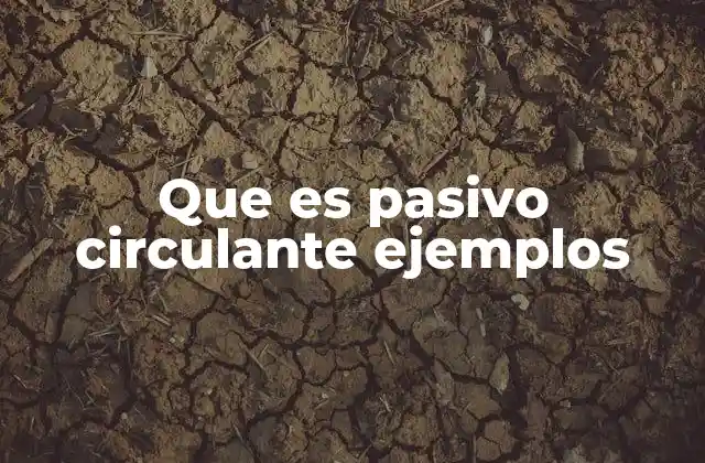 Que es Pasivo Circulante Ejemplos