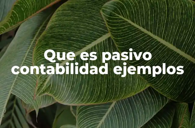 Que es Pasivo Contabilidad Ejemplos