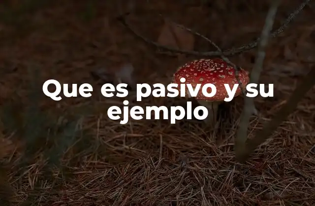 Que es Pasivo y Su Ejemplo