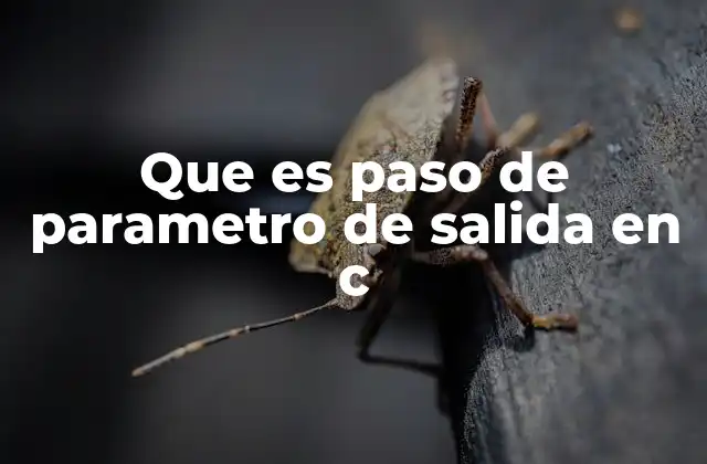 Que es Paso de Parametro de Salida en C