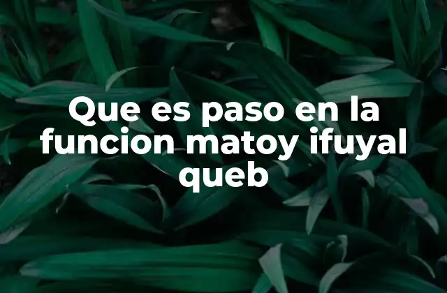 Que es Paso en la Funcion Matoy Ifuyal Queb