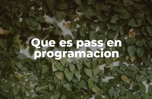 Que es Pass en Programacion