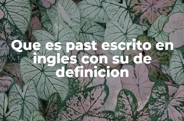 Que es Past Escrito en Ingles con Su de Definicion