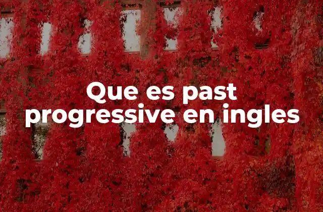 Que es Past Progressive en Ingles