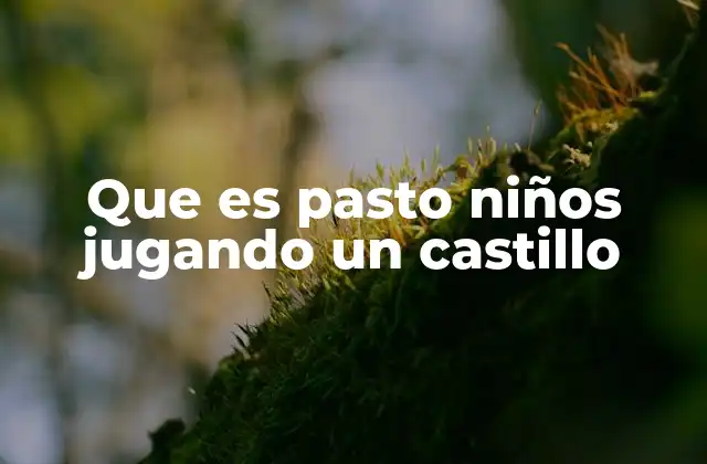 Que es Pasto Niños Jugando un Castillo