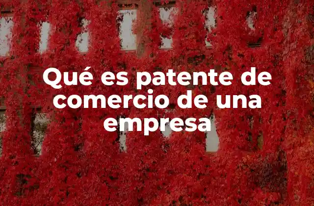 Qué es Patente de Comercio de una Empresa
