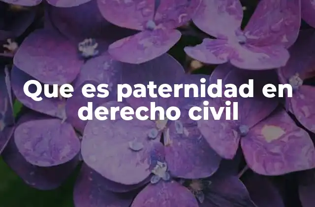 Que es Paternidad en Derecho Civil