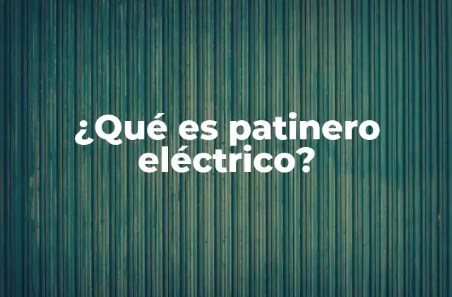 ¿qué es Patinero Eléctrico?