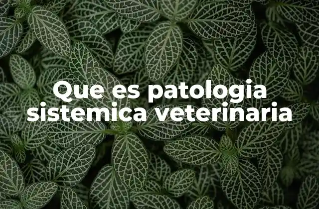 Que es Patologia Sistemica Veterinaria
