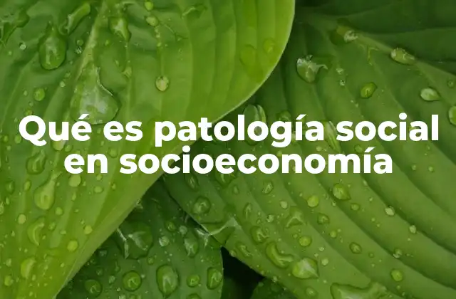 Qué es Patología Social en Socioeconomía