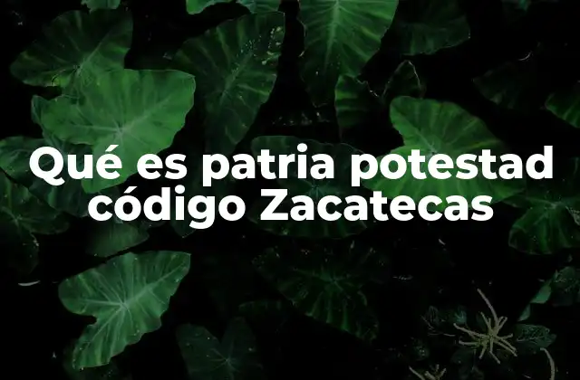 La autoridad parental en el contexto legal de Zacatecas
