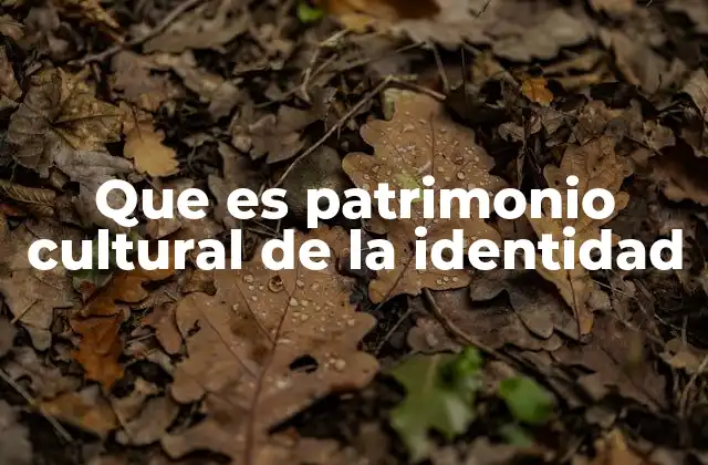 Que es Patrimonio Cultural de la Identidad