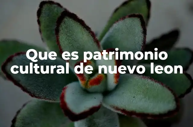 Que es Patrimonio Cultural de Nuevo Leon