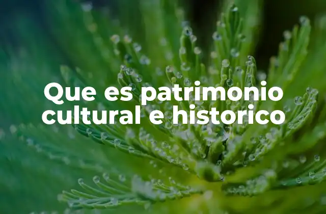 Que es Patrimonio Cultural e Historico