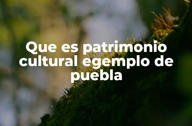 Que es Patrimonio Cultural Egemplo de Puebla