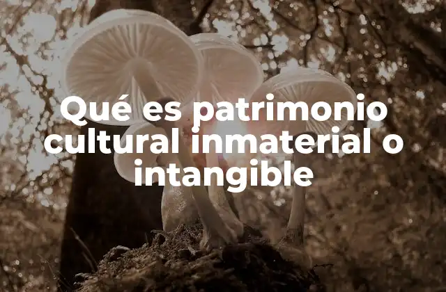 Qué es Patrimonio Cultural Inmaterial o Intangible