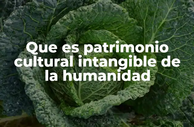 Que es Patrimonio Cultural Intangible de la Humanidad
