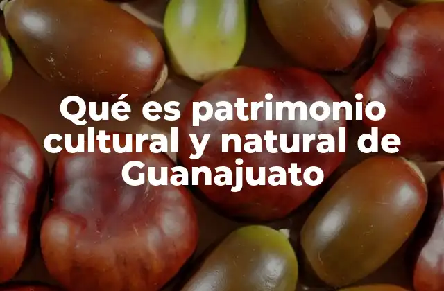 Qué es Patrimonio Cultural y Natural de Guanajuato