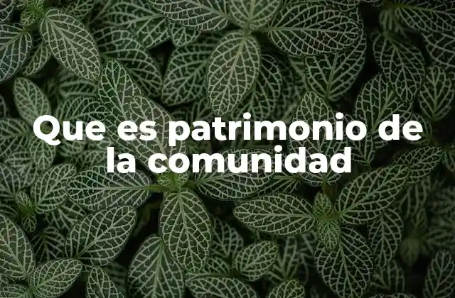 Que es Patrimonio de la Comunidad