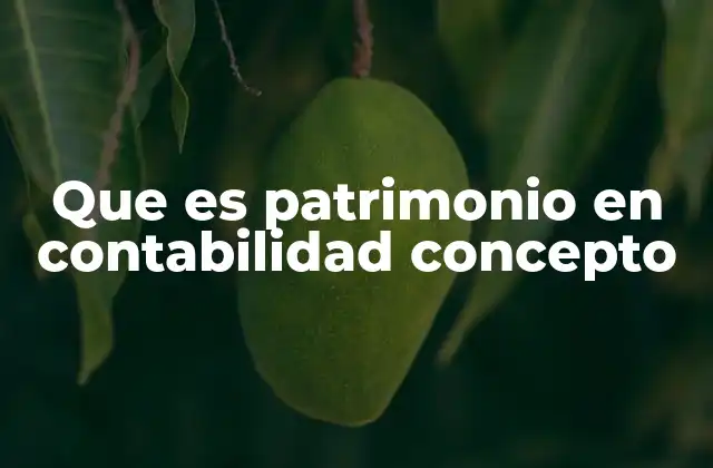 Que es Patrimonio en Contabilidad Concepto