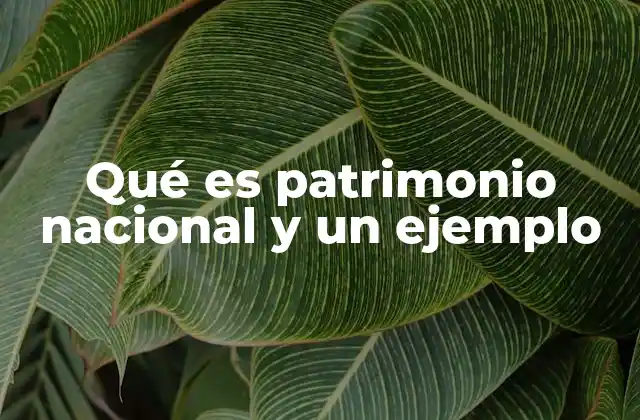 Qué es Patrimonio Nacional y un Ejemplo 2 La importancia del reconocimiento del patrimonio