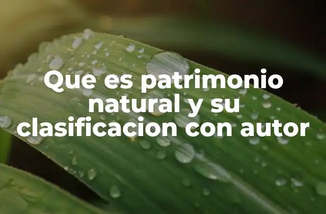 Que es Patrimonio Natural y Su Clasificacion con Autor