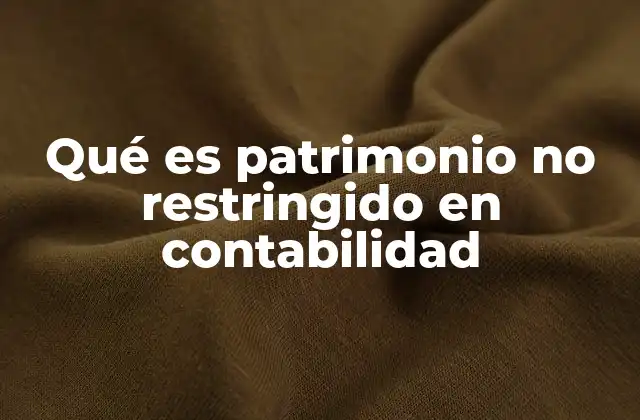 Qué es Patrimonio No Restringido en Contabilidad