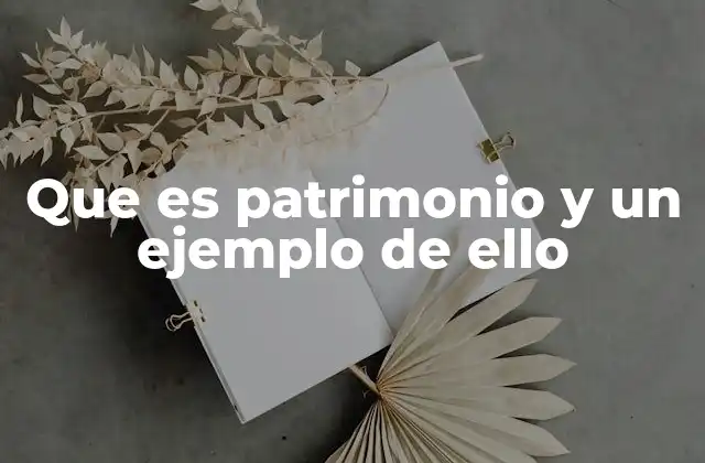 Que es Patrimonio y un Ejemplo de Ello